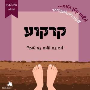 Read more about the article קרקוע – מה זה ולמה זה טוב?
